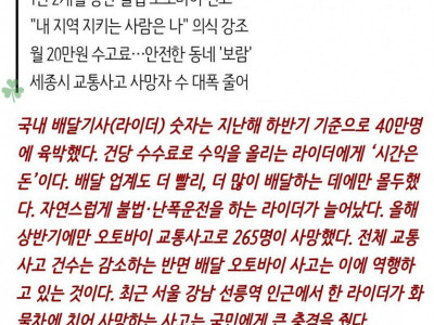 세종시에 나타난 영웅