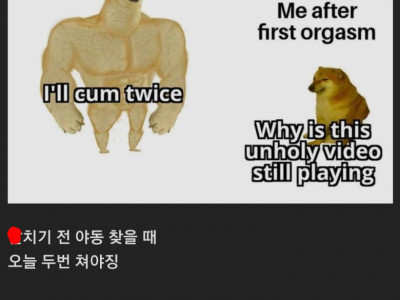 남자가 x치기 전과 후