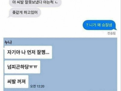 카톡 잘못 보낸 친누나