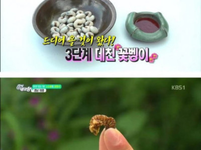 6시내고향 리포터 최대의 위기