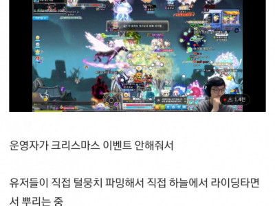 메이플 근황