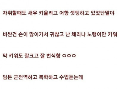 남자 자취방에 어항 두면 안되는 이유