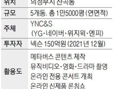 넥슨도 '메타버스 스튜디오' 가세…YG·네이버 합작사에 150억 투자