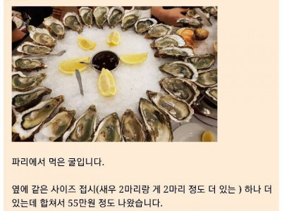 굴55만원 어치ㅆㅂ