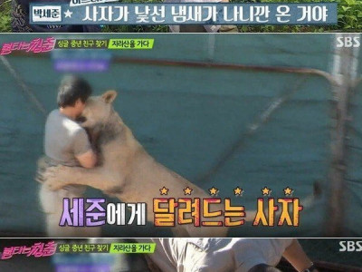 연예계 3대 이왜진....jpg