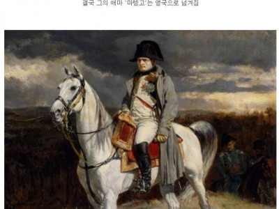 나폴레옹 애마의 기구한 삶