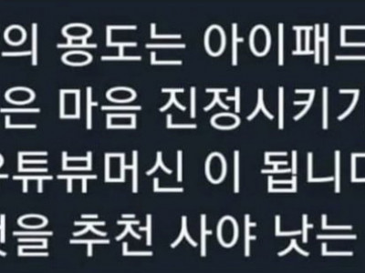 사람들이 아이패드 사는 진짜이유