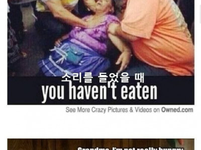 서양의 할머니 밈