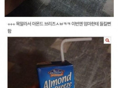 새벽에 엄마 몰래 복숭아 먹는 판녀