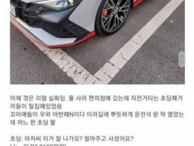 잼민이들한테 팩트폭력을 당한 아반떼N 오너...jpg