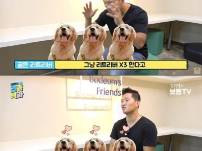 개통령이 말하는 골든리트리버의 충격적인 진실