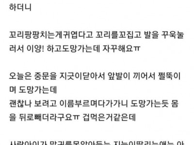 켓맘 까페 어질어질하네;;;