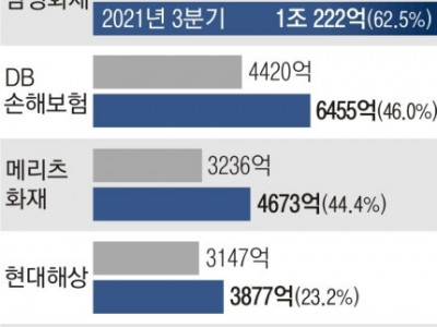 소비자에게 실손 보험료 폭탄 안겨놓고… 손보사는 ‘성과급 잔치’
