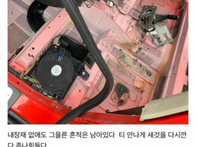 망자의 차량 작업한 디시인