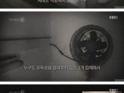 생산직 파견 도급 용역 아웃소싱 노동자들의 시력을 잃어버린 사건.jpg