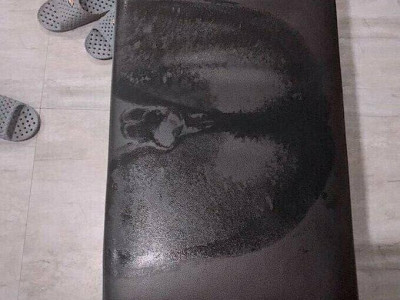 헬스장 민폐남