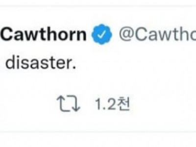 미국으로 수출된 한국의 K-밈.jpg