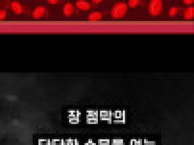 밀가루의 불편한 진실.jpg