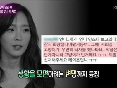 연예인에게 선처를 바라는 악플녀의 발악.jpg