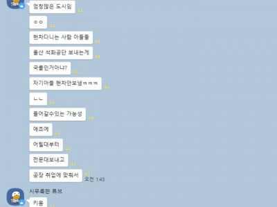 충격적인 울산도시의 문화
