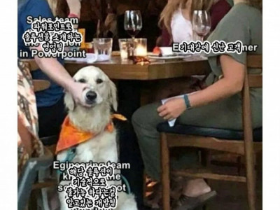 회사 영업팀과 개발팀의 관계