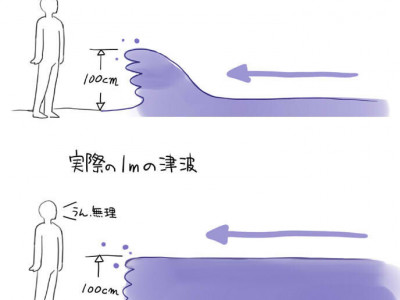 쓰나미 상상과 실제