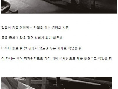 19세기 개들의 직업