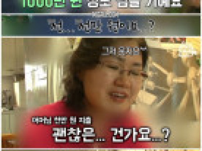 전세계 개구리를 다락방에 다 모아둔 남편.jpg