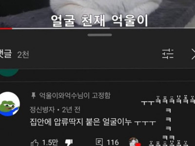 댓글 보다가 숨 넘어감.jpg