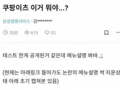쿠팡이츠 태스트 페이지 유출참사