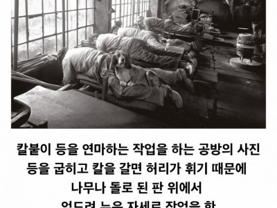 19c 멈무들 직업