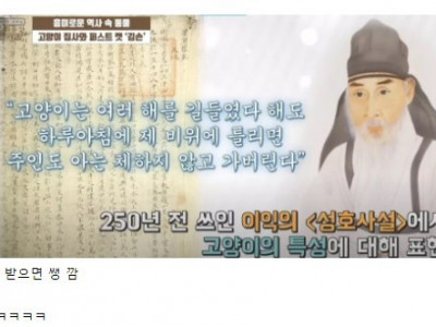 250년 전 고양이의 습성.jpeg
