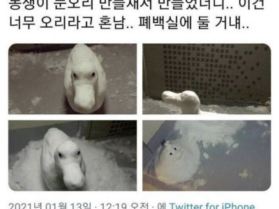 진정한 눈오리