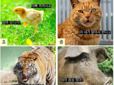 시기별 부모님이 나를 바라보는 시점.jpg