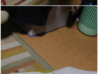 잡아먹힌 고양이.jpg