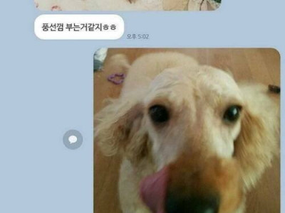어머니와의 카톡