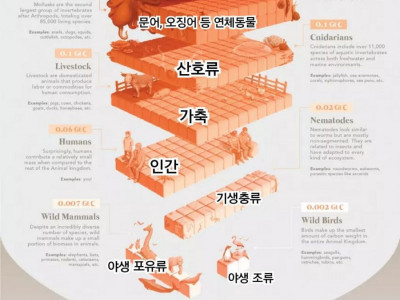 지구상 모든 생물의 수명을 시각화 한다면