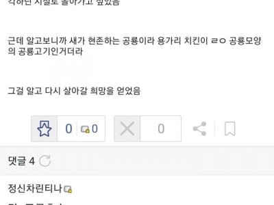 석유가 공룡썩은 물이 아니라 실망한 디시인