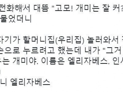 초2 조카가 전화와서 대뜸
