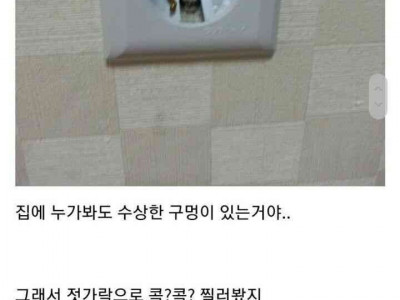 방금 집에 몰카 발견했다가 기절했어ㅠㅠ