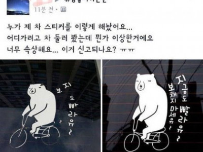 초보운전 누나의 눈물.jpg