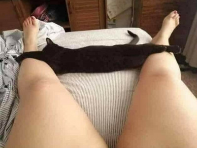 얘가 뭘좀 아네