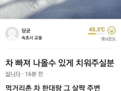당근마켓 속초 근황.jpg