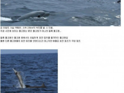 도촬계 최고봉.jpg