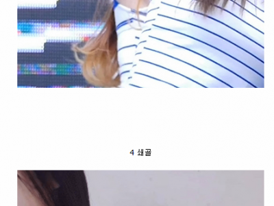자신의 여자 취향은
