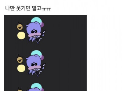 우리언니 코인하는데 웃기지 않아?