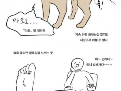 발 올려서 개빡친 댕댕이