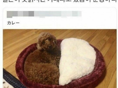 일본어 못 읽어도 알 수 있다