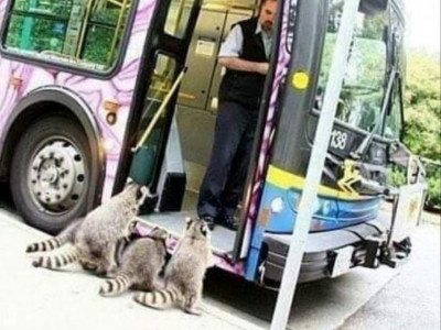 농심가면 안되는데...
