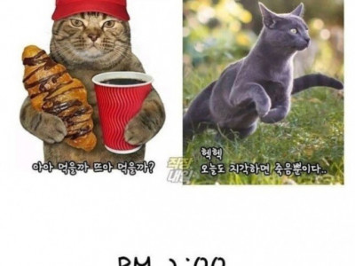 서울 사는 직장인 vs 경기도 사는 직장인